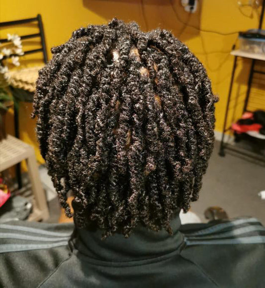 Locs Male ceehairdesignz9